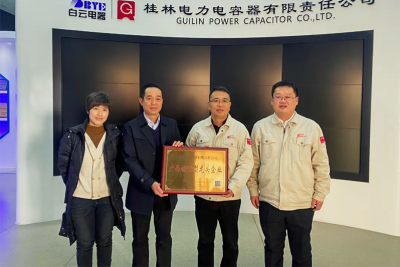 桂容公司喜獲廣西鏈主型龍頭企業(yè)