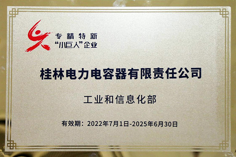 國(guó)家級(jí)“專(zhuān)精特新”重點(diǎn)小巨人企業(yè)