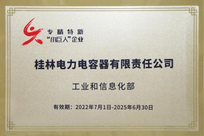 國家級(jí)“專精特新”重點(diǎn)小巨人企業(yè)